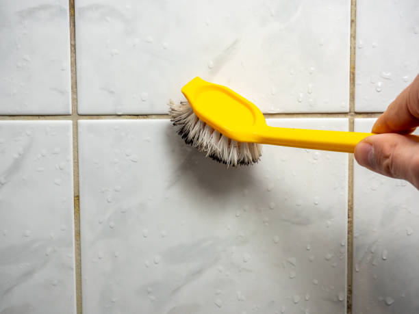 Best Toxic Mold Removal  in Laramie, WY