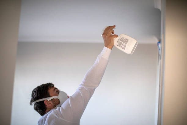 Best Black Mold Removal  in Laramie, WY