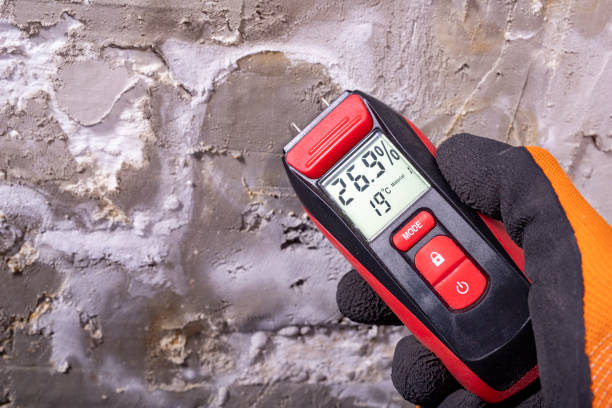 Best Same-Day Mold Removal  in Laramie, WY