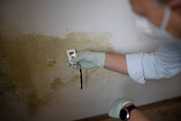 Best Mold Cleaning Services  in Laramie, WY