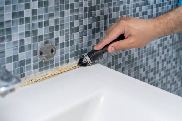 Professional Mold Removal in Laramie, WY